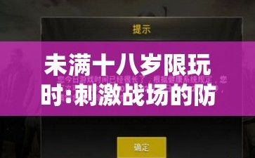 未满十八岁限玩时:刺激战场的防沉迷系统到底能起到多少保护效果?