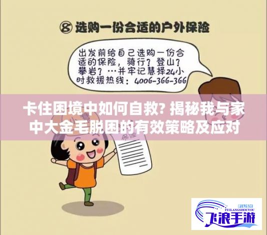 卡住困境中如何自救? 揭秘我与家中大金毛脱困的有效策略及应对技巧