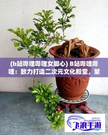 (b站哔哩哔哩女脚心) B站哔哩哔哩：致力打造二次元文化殿堂，繁星点点的创作者天地；源于用户，服务于用户——关注青年观影需求与行为趋势，展现多元化精神风貌