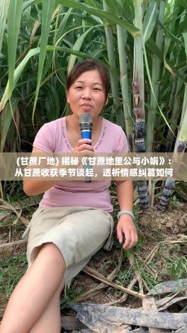 (甘蔗厂地) 揭秘《甘蔗地里公与小娟》：从甘蔗收获季节谈起，透析情感纠葛如何影响心理健康