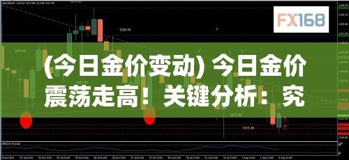 (今日金价变动) 今日金价震荡走高！关键分析：究竟是买入时机还是警惕泡沫风险？