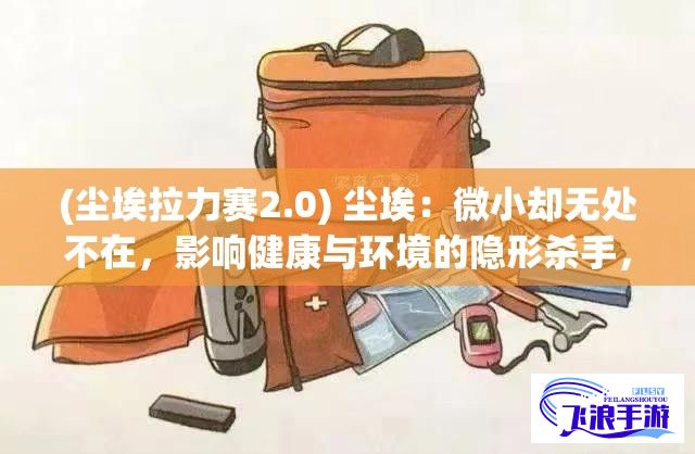 (尘埃拉力赛2.0) 尘埃：微小却无处不在，影响健康与环境的隐形杀手，我们该如何应对？