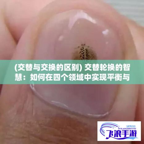 (交替与交换的区别) 交替轮换的智慧：如何在四个领域中实现平衡与创新，促进持续发展