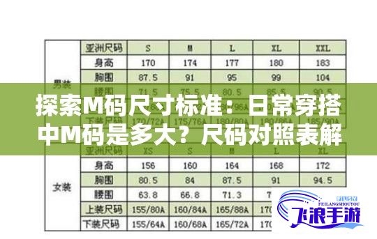 探索M码尺寸标准：日常穿搭中M码是多大？尺码对照表解析