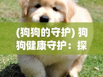 (狗狗的守护) 狗狗健康守护：探讨寄生虫如何进入宠物狗的身体与应对策略-"黑科技防虫技巧，从喂食习惯改变做起