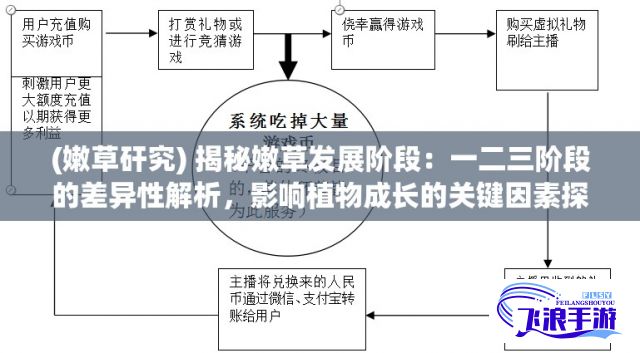 (嫩草矸究) 揭秘嫩草发展阶段：一二三阶段的差异性解析，影响植物成长的关键因素探讨。