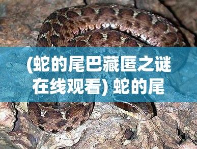 (蛇的尾巴藏匿之谜在线观看) 蛇的尾巴藏匿之谜：发现与保护，从我的花丛中揭秘自然与和谐的共存之道。