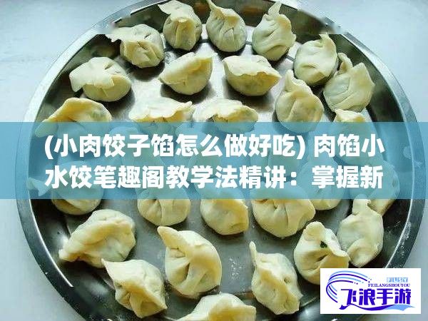 (小肉饺子馅怎么做好吃) 肉馅小水饺笔趣阁教学法精讲：掌握新颖授课方式，全面提升教学效果和学生参与度