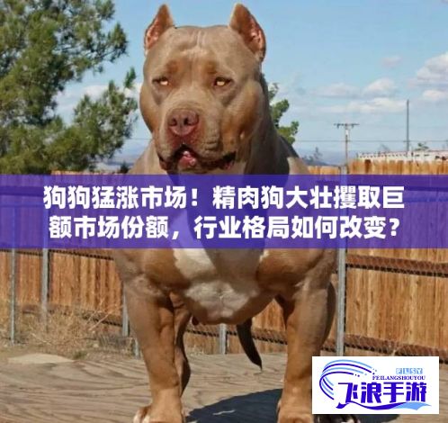 狗狗猛涨市场！精肉狗大壮攫取巨额市场份额，行业格局如何改变？