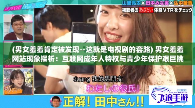 (男女羞羞肯定被发现--这就是电视剧的套路) 男女羞羞网站现象探析：互联网成年人特权与青少年保护艰巨挑战的冲突对话