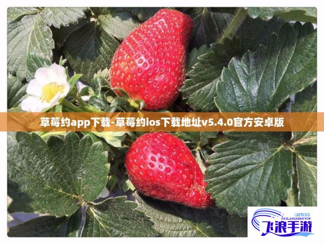 草莓约app下载-草莓约ios下载地址v5.4.0官方安卓版