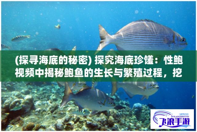 (探寻海底的秘密) 探究海底珍馐：性鲍视频中揭秘鲍鱼的生长与繁殖过程，挖掘海洋生态科学奥秘