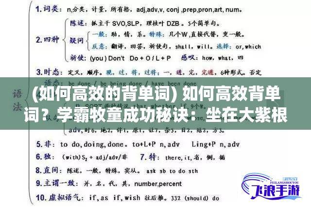 (如何高效的背单词) 如何高效背单词？学霸牧童成功秘诀：坐在大紫根上背单词的奇效探索！