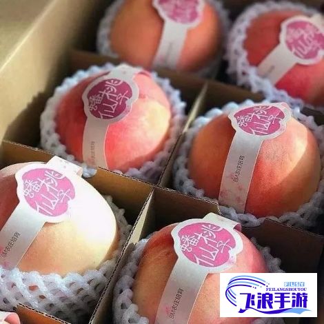 【蜜桃精品推荐】2023年春季必备！精选蜜桃主题单品，为您的生活增添甜蜜风情。