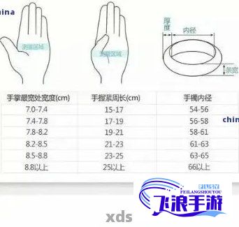 【尺寸迎合品味？以本王的尺寸标准考量，探讨满意度之关键要点】