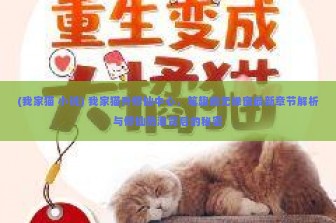 (我家猫 小说) 我家猫开修仙中心，笔趣阁无弹窗最新章节解析与修仙热潮背后的秘密