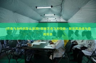 (方舟飞天代码怎么取消) 探秘方舟飞天代码，解析其原理与应用前景