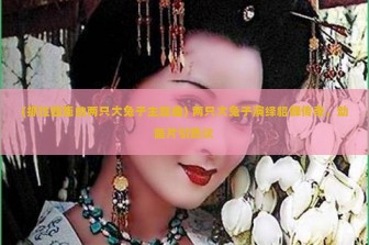 (抓住西施的两只大兔子主题曲) 两只大兔子演绎貂蝉传奇，动画片引热议