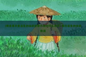 (我是春天里出生的绿皮野兽小说叫什么名字) 春日诞生的绿皮传说