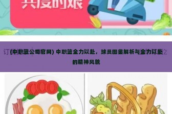 (中职篮公司官网) 中职篮全力以赴，球员图鉴解析与全力以赴的精神风貌