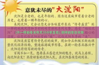 (不一样的冬天作文350字左右) 别样的冬日风情